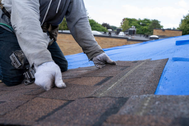 Best Roof Repair Services  in Harper Woods, MI